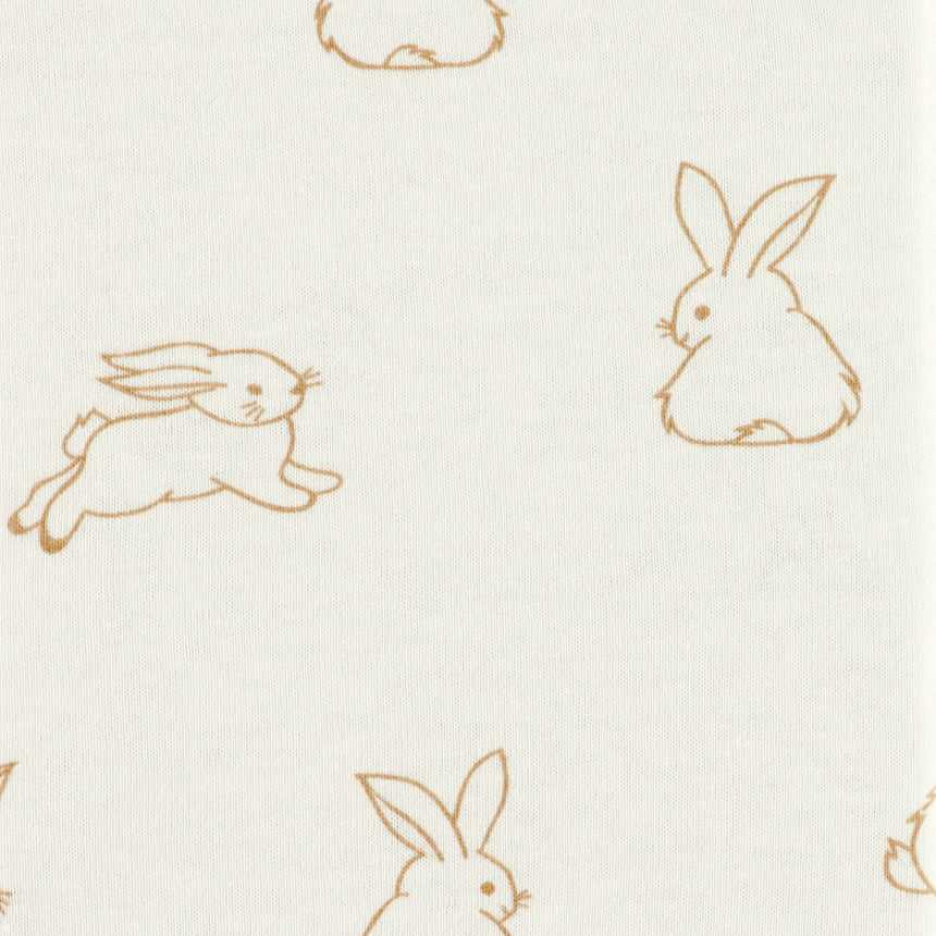 Contour à Langer - Lapins-Jasxtek-JAS-COUVREBUNNIE-CLÉMENT