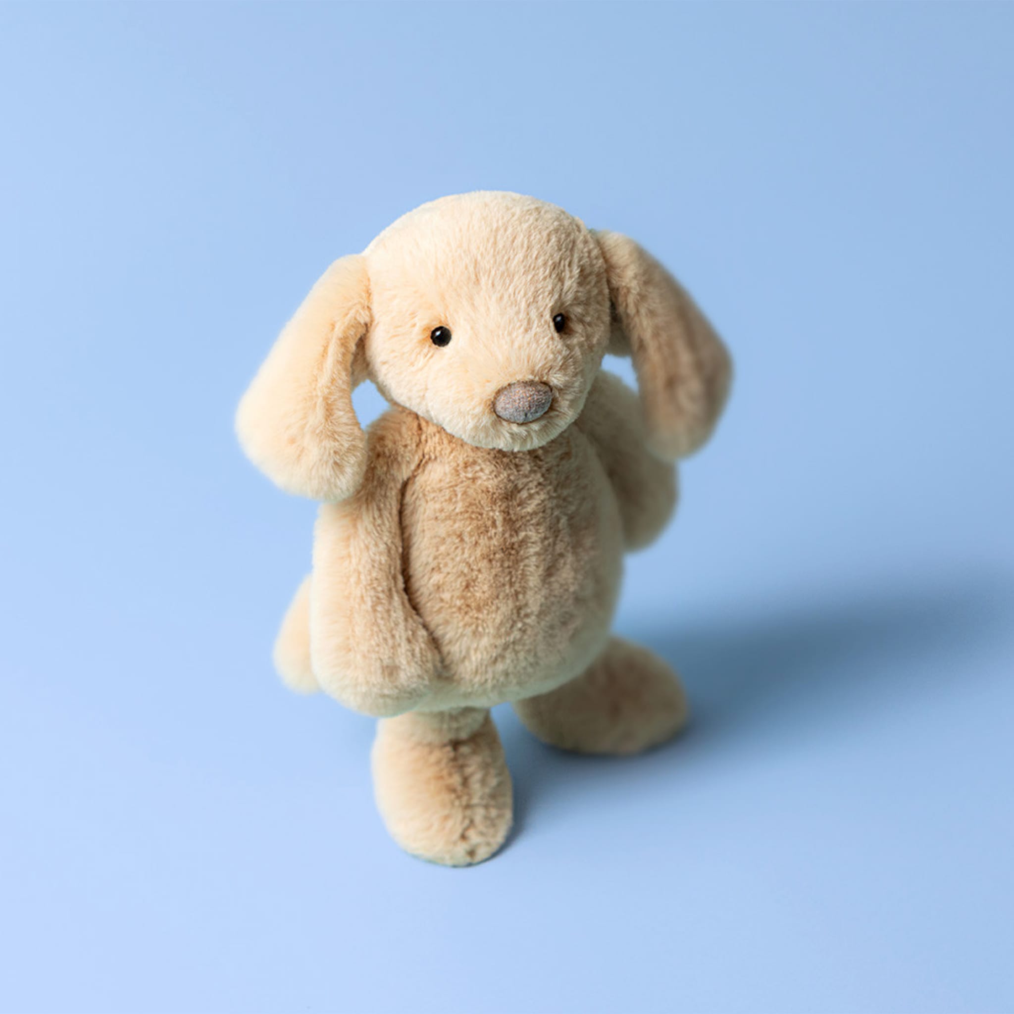 Bashful Luxe Puppy Orlando – CLÉMENT