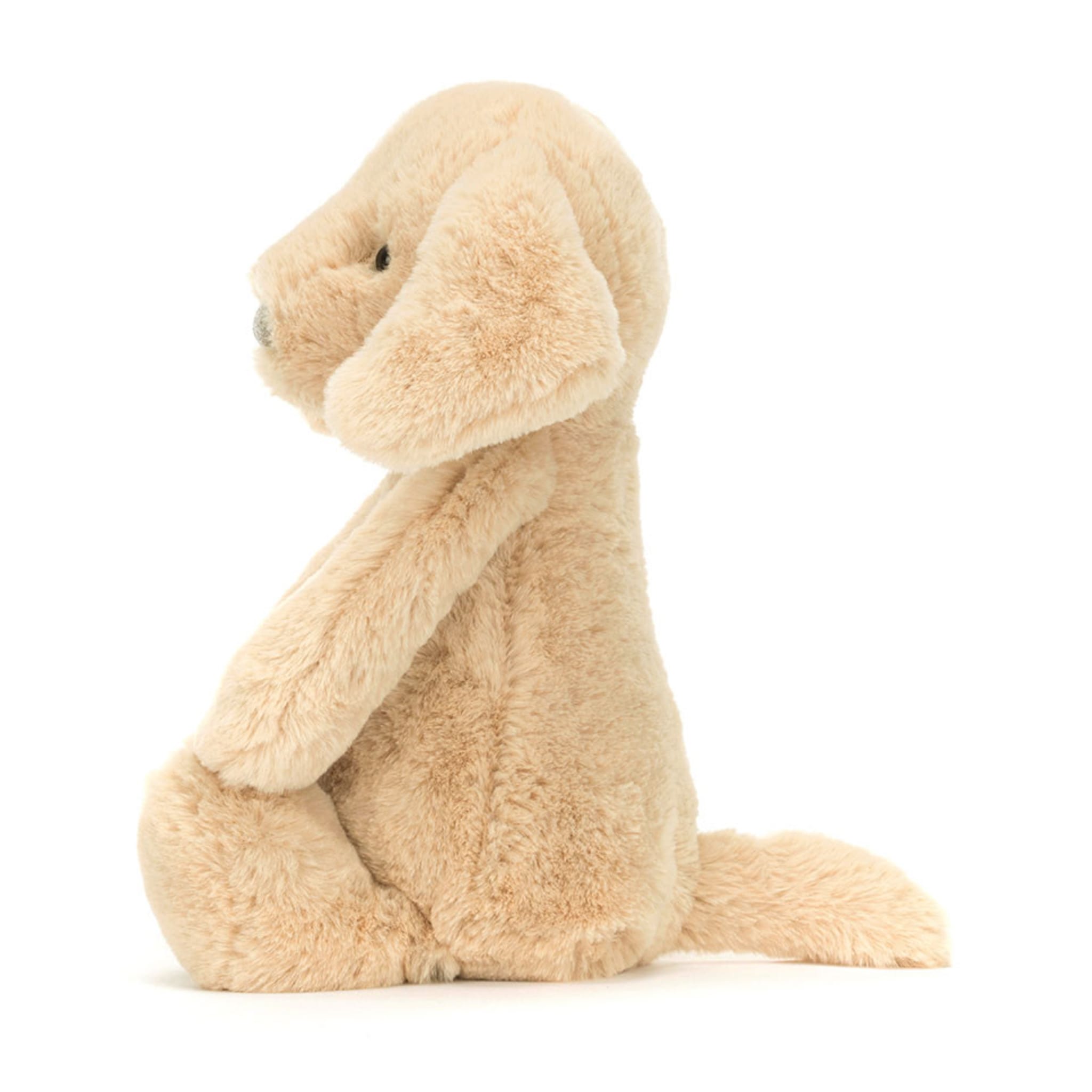 Bashful Luxe Puppy Orlando – CLÉMENT