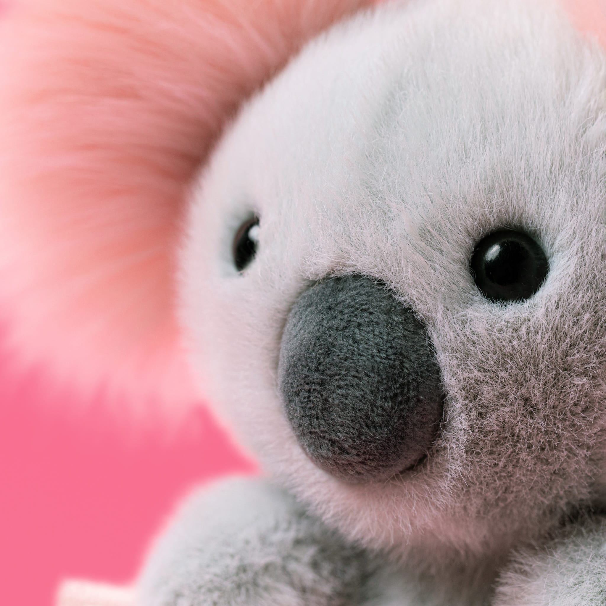  Koala With Message コアラ ぬいぐるみ Koala With Message – CLÉMENT