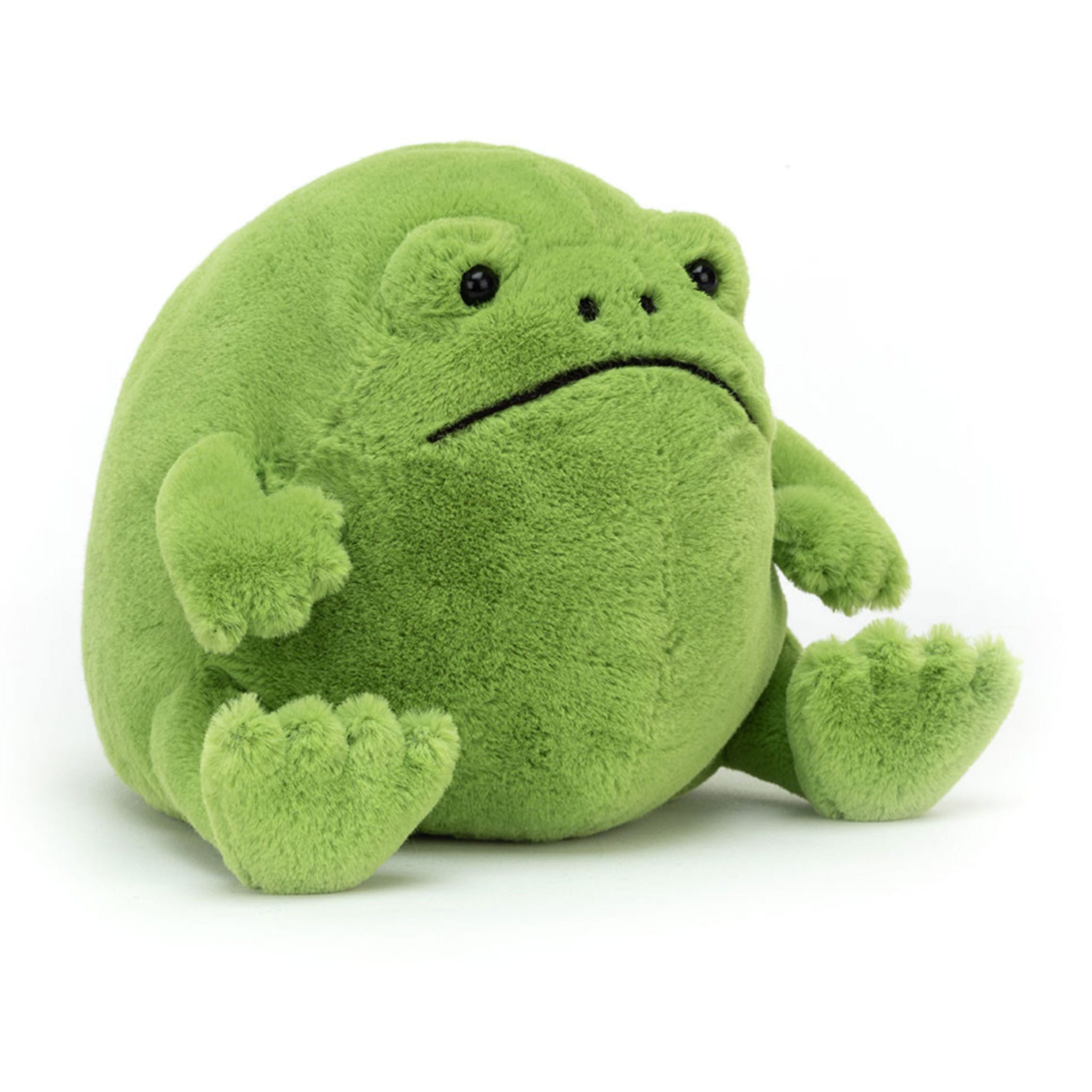 Ricky Rain Frog – CLÉMENT