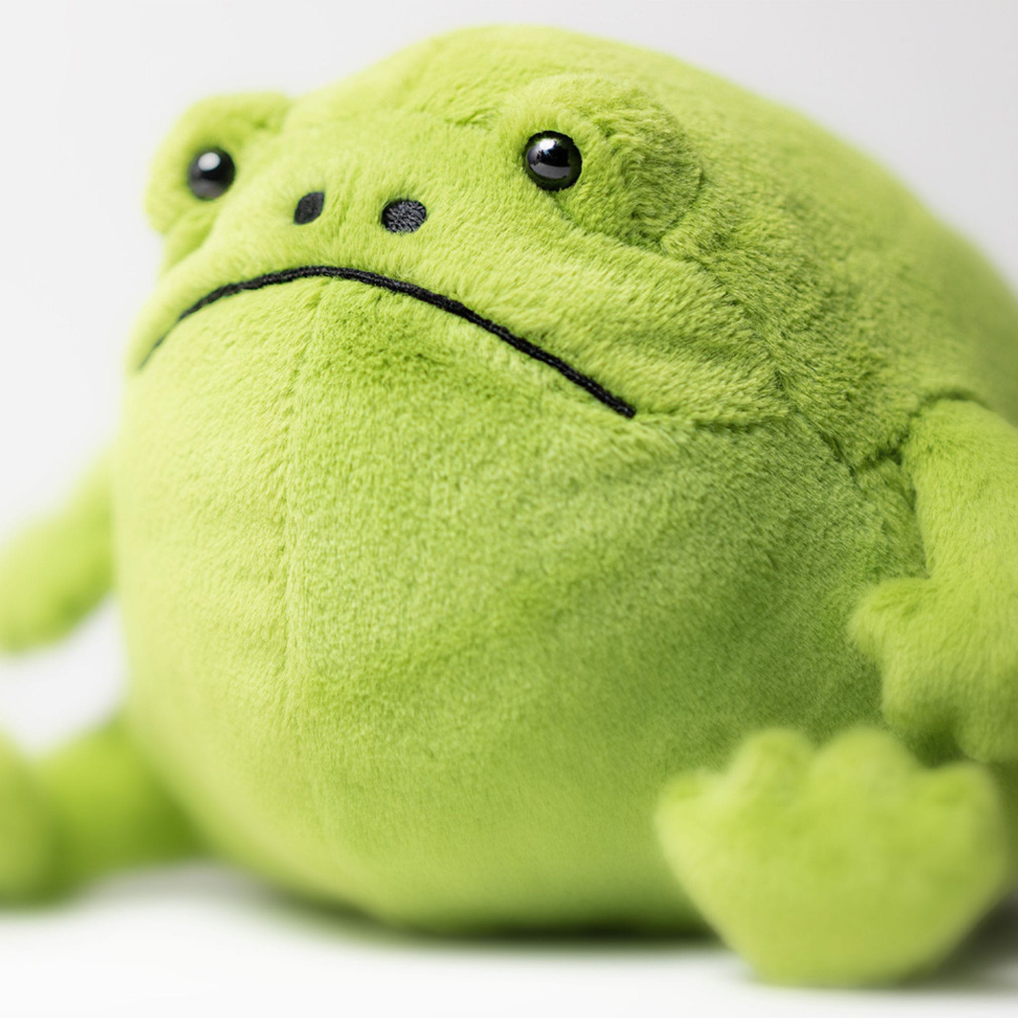 Ricky Rain Frog – CLÉMENT