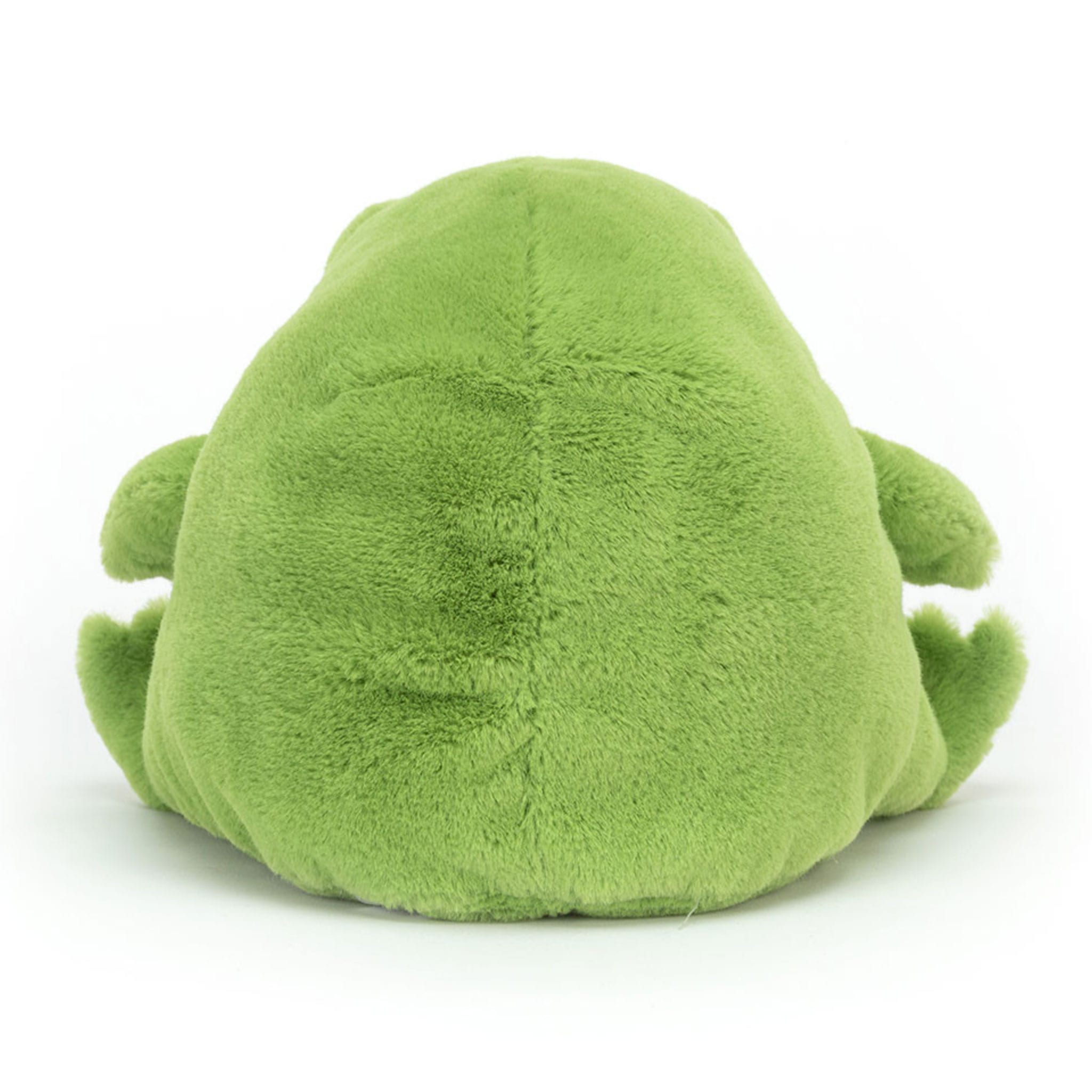 Ricky Rain Frog – CLÉMENT
