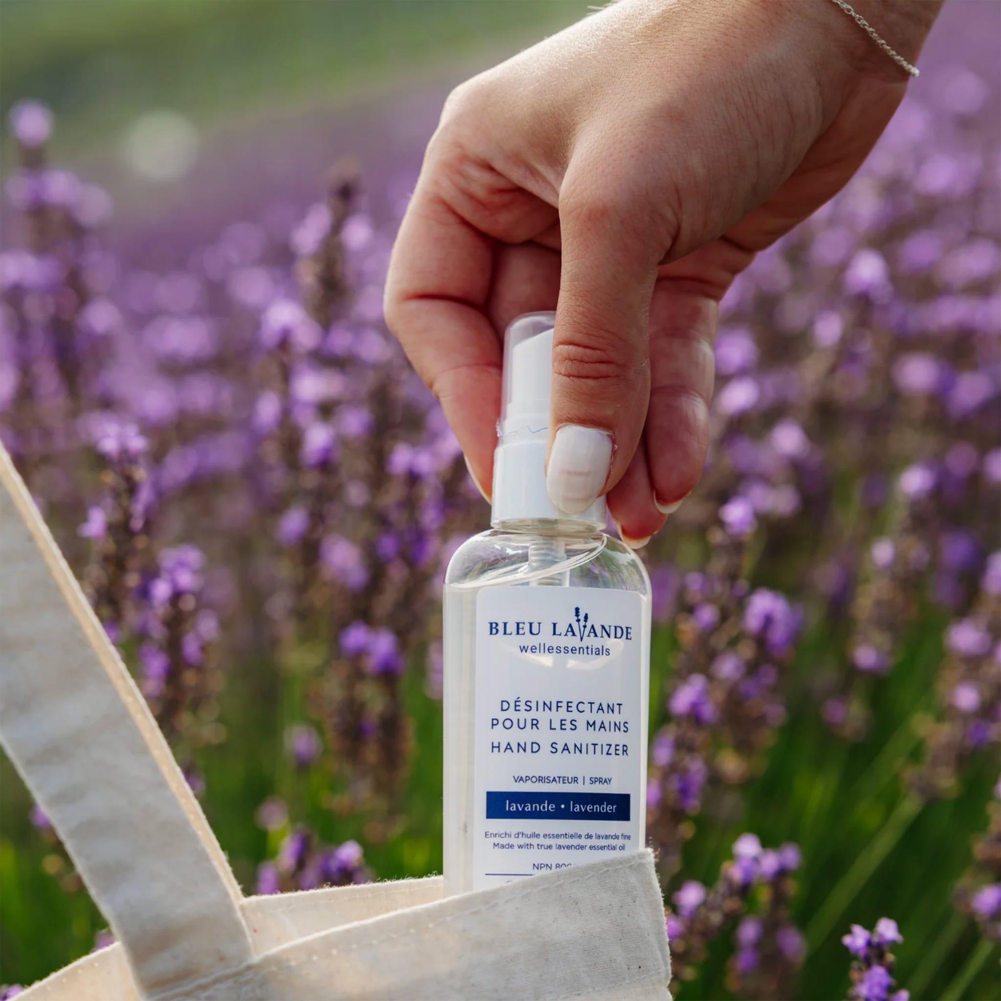 Désinfectant pour les Mains – Lavande - Bleu Lavande – CLÉMENT