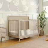 LET-M15901TPE_B.JPG