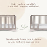 Option De Jour Pala - Taupe-Little Seeds-LIS-TF008TPPH-CLÉMENT