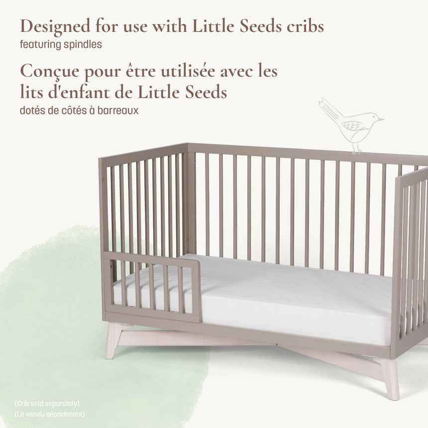 Option De Jour Pala - Taupe-Little Seeds-LIS-TF008TPPH-CLÉMENT