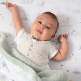 LIV-203310_B.JPG