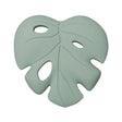 LLP-MONSTERA-SFM_A.JPG