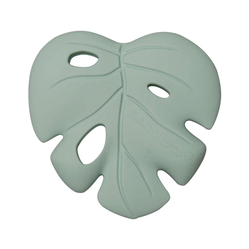 LLP-MONSTERA-SFM_A.JPG