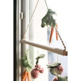 LOA-HANG-VEGGIES_D_1.JPG