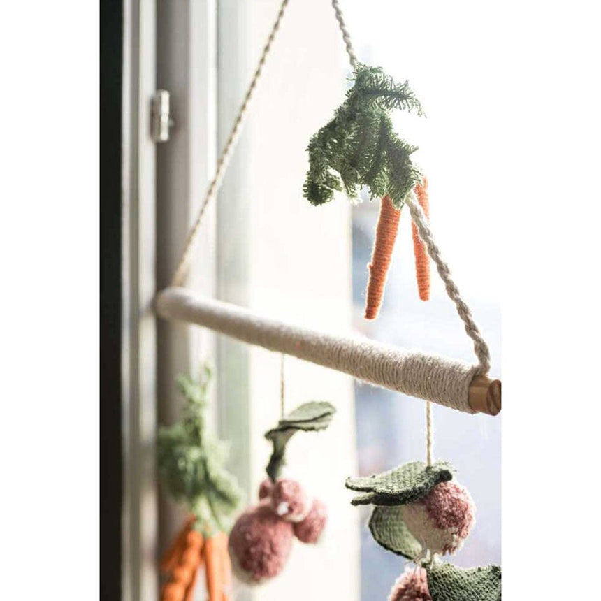 LOA-HANG-VEGGIES_D_1.JPG