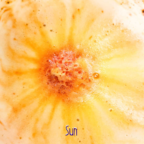 LOT-GB-01SUN_B.jpg