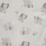 LP3-C-DP-ELEPHA_B.JPG