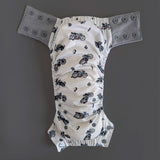 Culotte d'Entraînement - Moto-La Petite Ourse-LP3-C-TP-MOTO-CLÉMENT