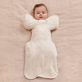 LTD-L1009352CRS_B.JPG