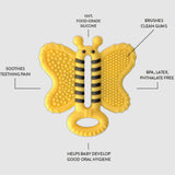 Brosse À Dent - Abeille-Munch Mitt-MDI-TBT01BB-CLÉMENT