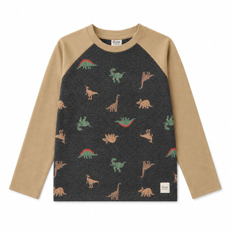 T-shirt Raglan Dino 2-8ans-Camp by Birdz-Charcoal-2-NAS-CLSPKB393-CD-CLÉMENT