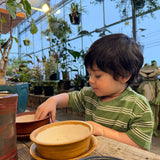 Island Striped T-shirt 2-8y