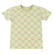 T-shirt Carreaux Floral 2-8ans-Camp by Birdz-Sauge-2-NAS-CLSPKG677-GF-CLÉMENT
