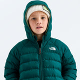 NOH-NF0A88VJ-N4J_SAR_E.JPG