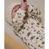 OR4-PM5878_IVO_E_2.PNG