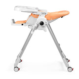 PEG-PZEROBL68_J.JPG