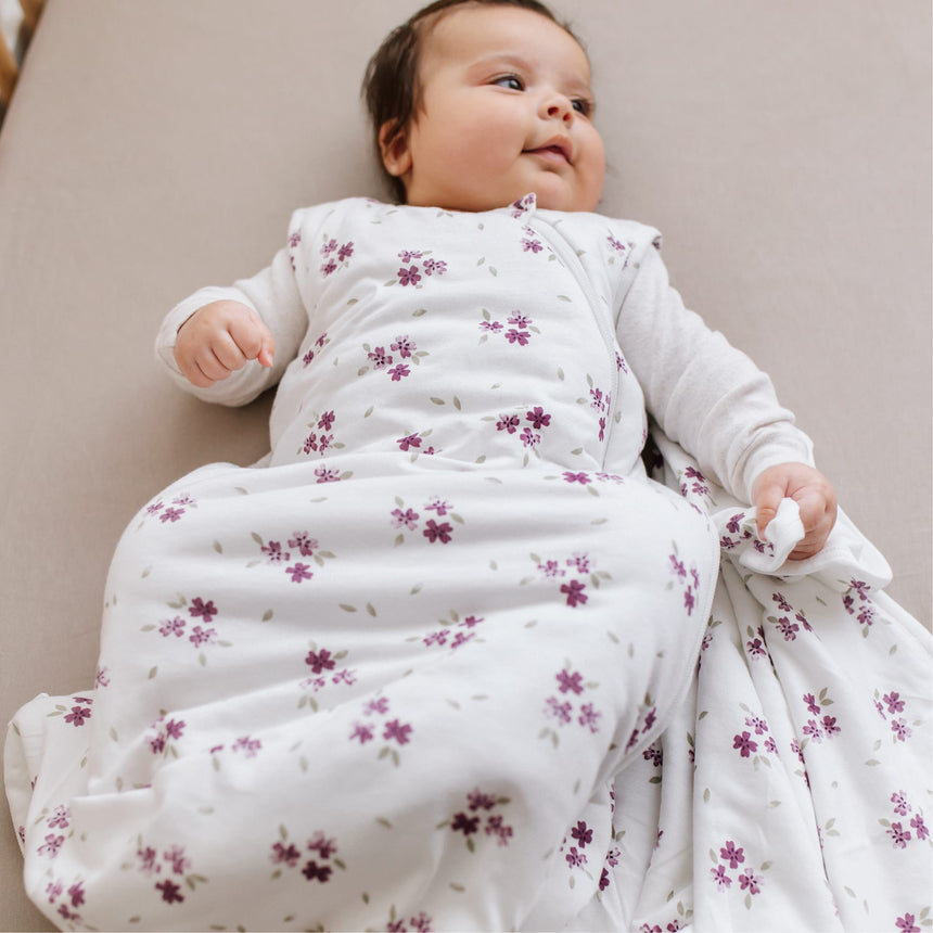 PER-BB3235-MALV_G.JPG