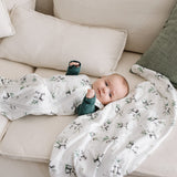 PER-BB3235-PAND_F.JPG