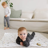PER-BB3235-PRAI_E.JPG
