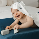 PER-BB3304-HO_B.JPG