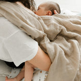 PER-BB3346-SQ_C.JPG