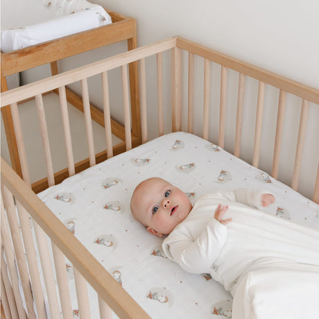 Drap Contour Bébé Hiboux-Perlimpinpin-PER-L2026C-HI-CLÉMENT