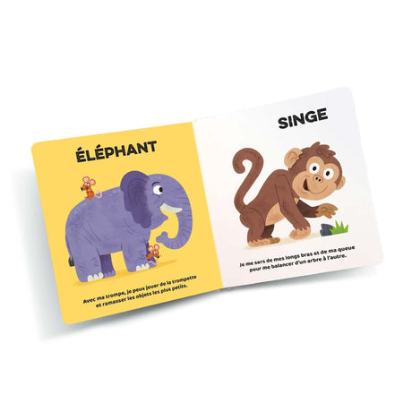 La Ferme - Méli-Mélo Magnétique-Prologue-PRL-A146788-CLÉMENT