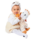 QHK-SLG-850739_D.JPG