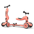RD2-K1-160629-PE_A.JPG