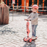 RD2-K1-160629-PE_B.JPG