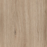 RIV-11310_F.JPG