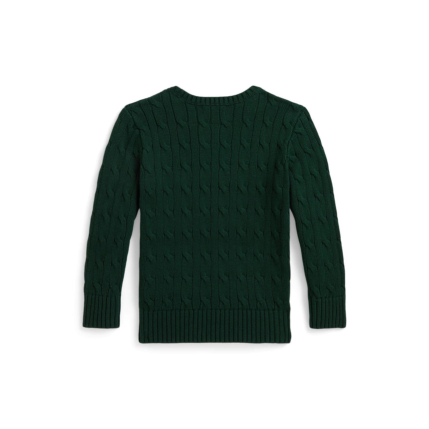 Pull Tricot Ours Polo 2-6ans-Polo Ralph Lauren-RLA-322B29196001-CLÉMENT