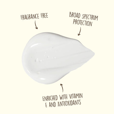 Crème Solaire pour le Visage FPS 50-Sunbum-SBU-25-45092-CLÉMENT
