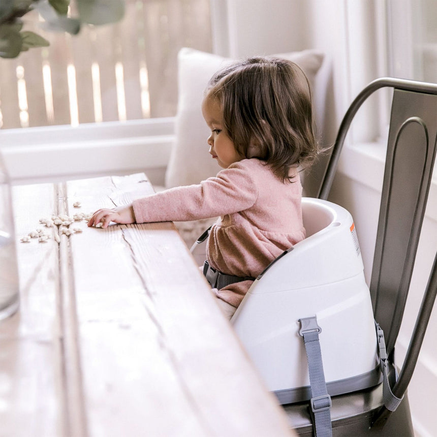 Siège d'Appoint 2-en-1 - Gris Slate-Ingenuity-SIN-11576-CLÉMENT