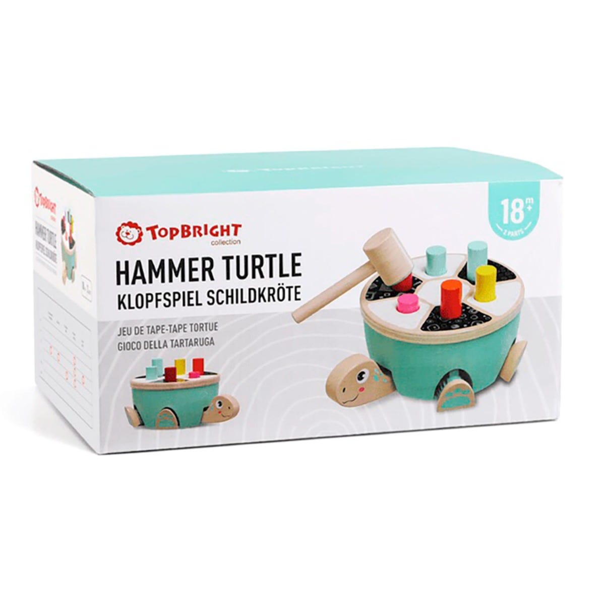 Hammer Turtle – CLÉMENT