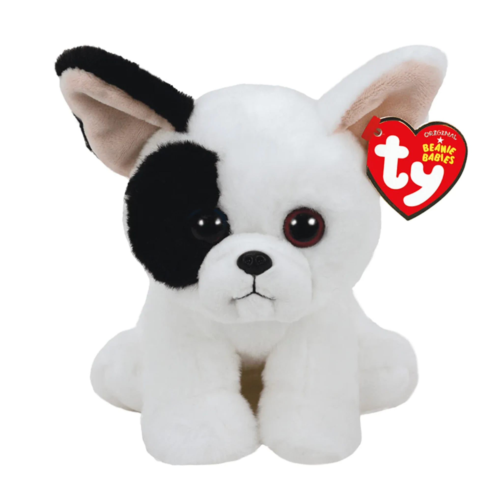 Chien Marcel - TY – CLÉMENT