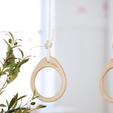 Anneaux De Gymnastique-Kantalou-UOL-RONDELLE-CLÉMENT