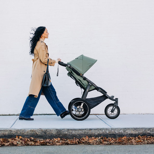 Poussette Ridge V2 - Evelyn-UPPAbaby-UPP-1403RDGNAEVE-CLÉMENT