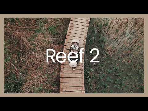 Poussette Reef 2 - Frappé