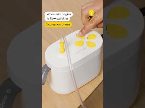 Tire-lait Pump In Style Pro